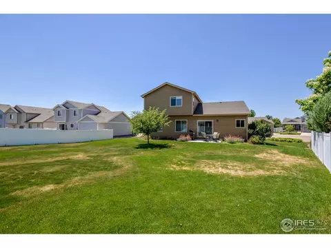 631 Denali Ct, Windsor, CO 80550 photo 33