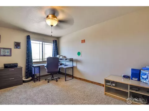 631 Denali Ct, Windsor, CO 80550 photo 26