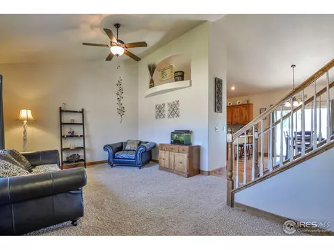 631 Denali Ct, Windsor, CO 80550 photo 14