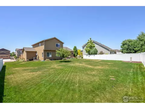 631 Denali Ct, Windsor, CO 80550 photo 30