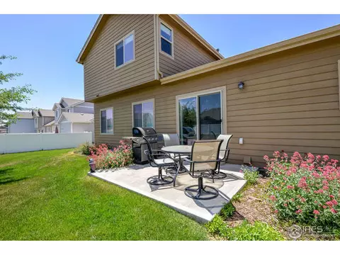 631 Denali Ct, Windsor, CO 80550 photo 31
