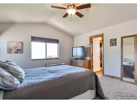 631 Denali Ct, Windsor, CO 80550 photo 18