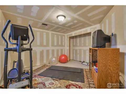 631 Denali Ct, Windsor, CO 80550 photo 29