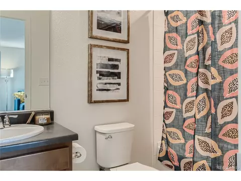 21404 E 59th Dr, Aurora, CO 80019 photo 24