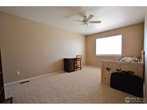 308 Sally St, Wiggins, CO 80654 photo 18