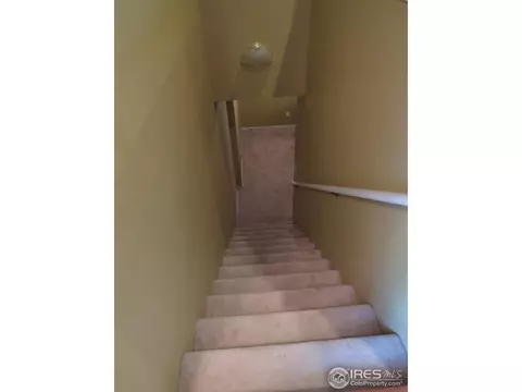 408 14th St, Windsor, CO 80550 photo 17