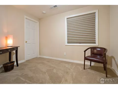 8378 Devinney Ct, Arvada, CO 80005 photo 29