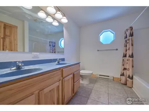710 Pine Cone Cir, Ward, CO 80481 photo 17