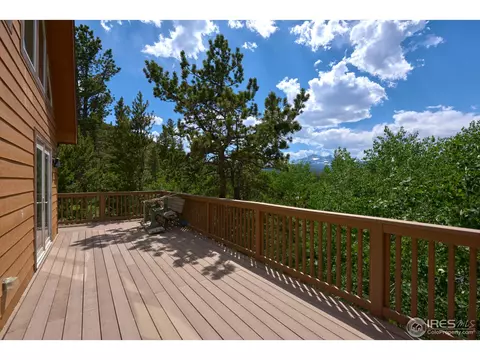 710 Pine Cone Cir, Ward, CO 80481 photo 29