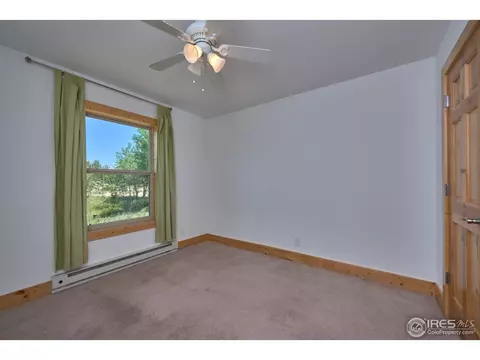 710 Pine Cone Cir, Ward, CO 80481 photo 19