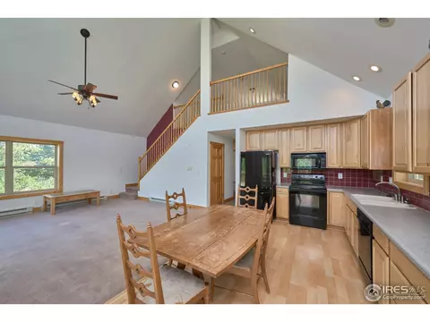 710 Pine Cone Cir, Ward, CO 80481 photo 13