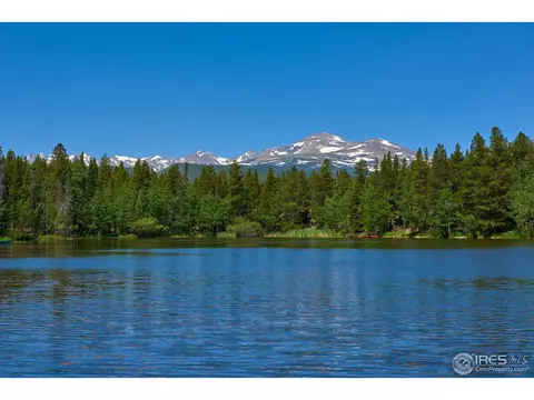 710 Pine Cone Cir, Ward, CO 80481 photo 8