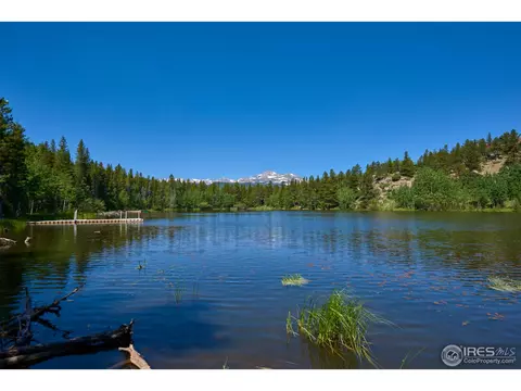 710 Pine Cone Cir, Ward, CO 80481 photo 7