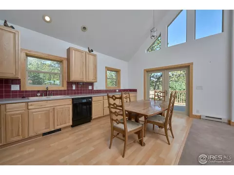 710 Pine Cone Cir, Ward, CO 80481 photo 10