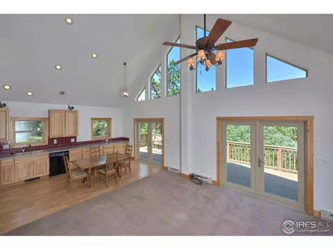 710 Pine Cone Cir, Ward, CO 80481 photo 14