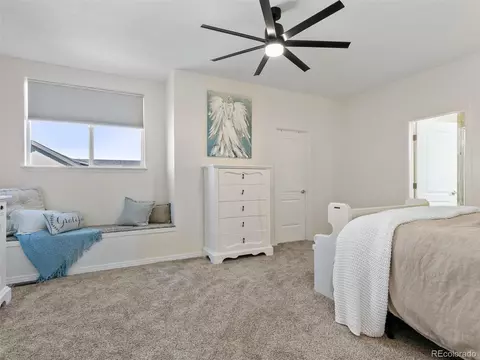 227 Bernard Ct, Fort Lupton, CO 80621 photo 19