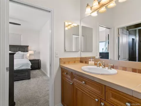 227 Bernard Ct, Fort Lupton, CO 80621 photo 27