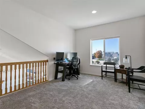 227 Bernard Ct, Fort Lupton, CO 80621 photo 25