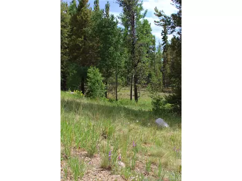 Glacier Ridge Rd, Alma, CO 80420 photo 9