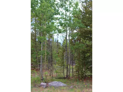 Glacier Ridge Rd, Alma, CO 80420 photo 4