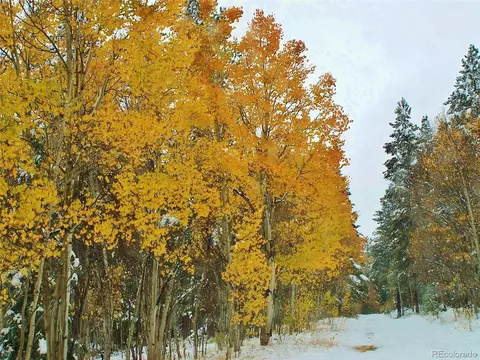 Glacier Ridge Rd, Alma, CO 80420 photo 15