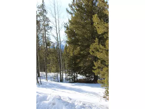 Glacier Ridge Rd, Alma, CO 80420 photo 14