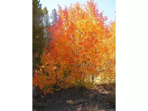 Glacier Ridge Rd, Alma, CO 80420 photo 16