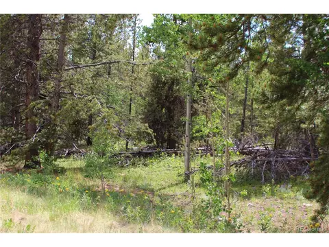 Glacier Ridge Rd, Alma, CO 80420 photo 8