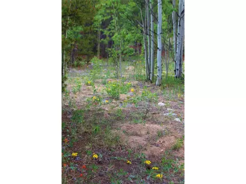 Glacier Ridge Rd, Alma, CO 80420 photo 5