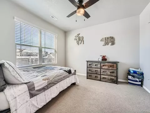 24023 E Minnow Cir, Aurora, CO 80016 photo 24