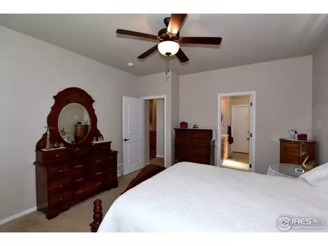 712 Dakota Way, Windsor, CO 80550 photo 18