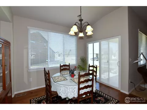 712 Dakota Way, Windsor, CO 80550 photo 15