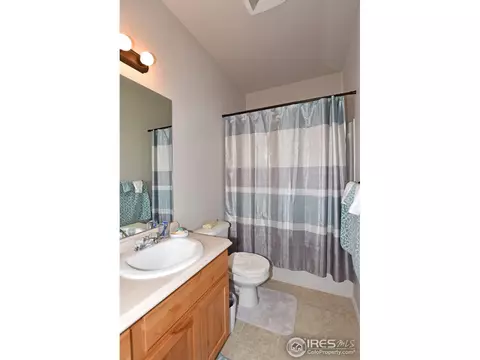 712 Dakota Way, Windsor, CO 80550 photo 29