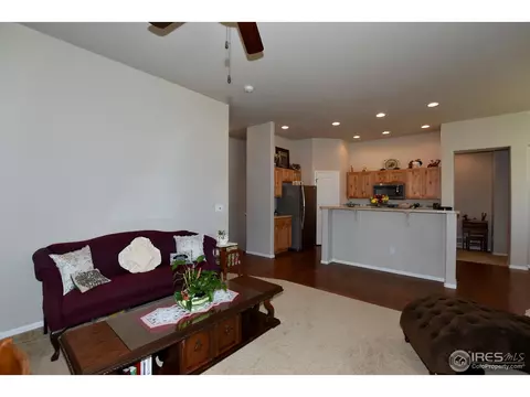 712 Dakota Way, Windsor, CO 80550 photo 10