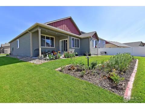 712 Dakota Way, Windsor, CO 80550 photo 35