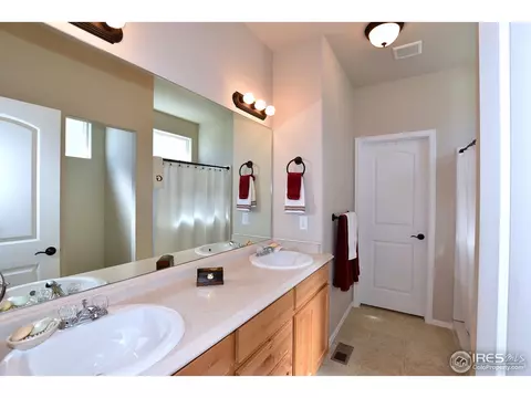 712 Dakota Way, Windsor, CO 80550 photo 19