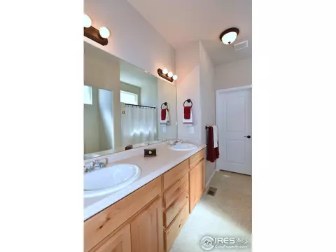 712 Dakota Way, Windsor, CO 80550 photo 21