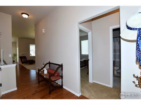 712 Dakota Way, Windsor, CO 80550 photo 6