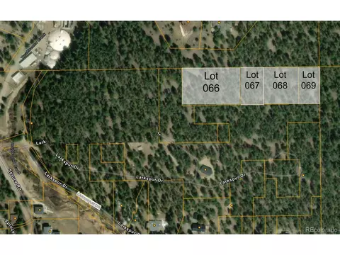 67 Larkspur, Evergreen, CO 80439