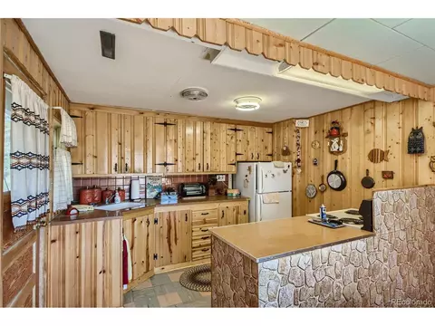 13809 S Beech St, Pine, CO 80470 photo 11