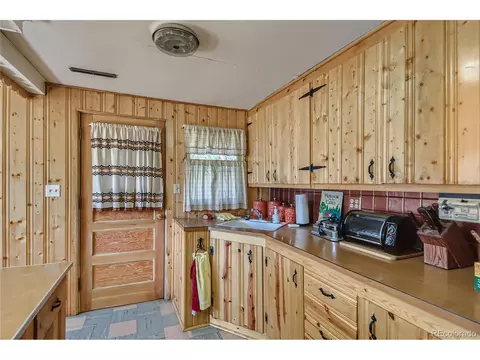 13809 S Beech St, Pine, CO 80470 photo 13
