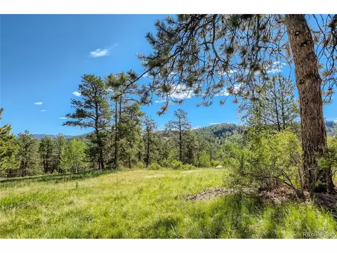 13809 S Beech St, Pine, CO 80470 photo 27