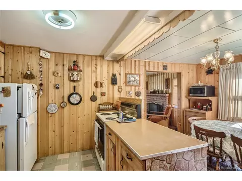 13809 S Beech St, Pine, CO 80470 photo 12
