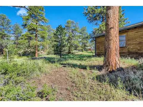 13809 S Beech St, Pine, CO 80470 photo 22