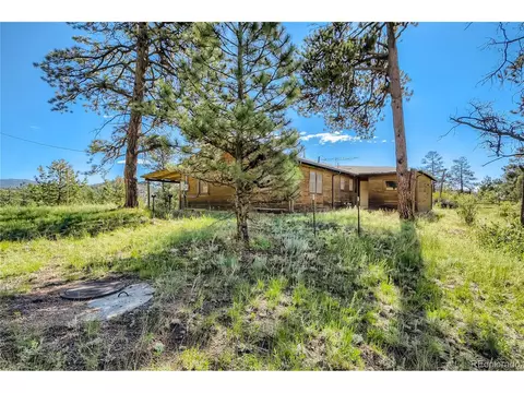 13809 S Beech St, Pine, CO 80470 photo 24