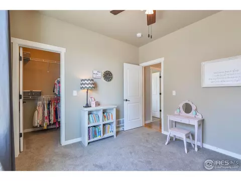 520 Vivian St, Severance, CO 80546 photo 19
