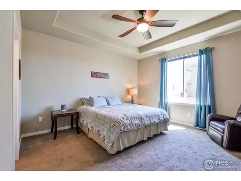 520 Vivian St, Severance, CO 80546 photo 12