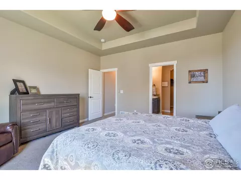 520 Vivian St, Severance, CO 80546 photo 13