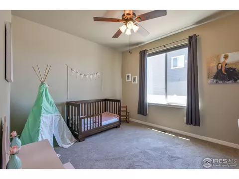 520 Vivian St, Severance, CO 80546 photo 20