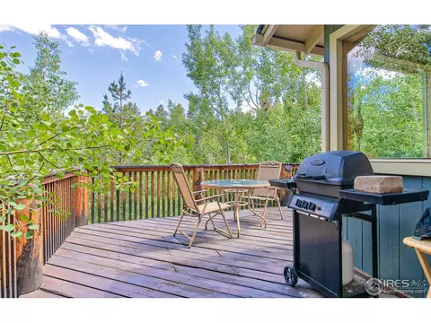 1015 Mountain Meadows Dr, Black Hawk, CO 80422 photo 4